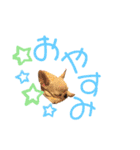 フレブルのマイル2（個別スタンプ：24）