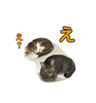 とむとべるのスタンプ2（個別スタンプ：8）