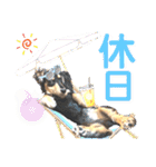 lovelyダックス・Friends（個別スタンプ：2）