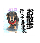 lovelyダックス・Friends（個別スタンプ：4）
