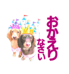 lovelyダックス・Friends（個別スタンプ：8）