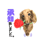 lovelyダックス・Friends（個別スタンプ：11）