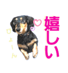 lovelyダックス・Friends（個別スタンプ：14）
