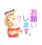 lovelyダックス・Friends（個別スタンプ：16）