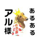 lovelyダックス・Friends（個別スタンプ：19）
