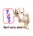 lovelyダックス・Friends（個別スタンプ：20）
