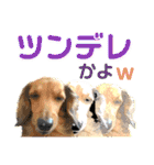 lovelyダックス・Friends（個別スタンプ：21）