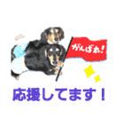 lovelyダックス・Friends（個別スタンプ：23）