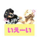 lovelyダックス・Friends（個別スタンプ：24）