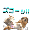 lovelyダックス・Friends（個別スタンプ：26）