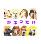 lovelyダックス・Friends（個別スタンプ：29）