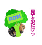 lovelyダックス・Friends（個別スタンプ：35）
