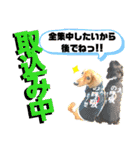 lovelyダックス・Friends（個別スタンプ：36）