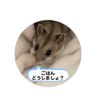 うにすた-ジオ編-（個別スタンプ：2）