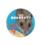 うにすた-ジオ編-（個別スタンプ：3）