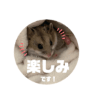 うにすた-ジオ編-（個別スタンプ：4）