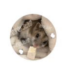 うにすた-ジオ編-（個別スタンプ：5）