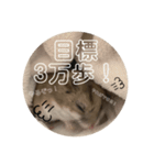 うにすた-ジオ編-（個別スタンプ：6）
