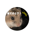 うにすた-ジオ編-（個別スタンプ：7）
