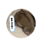 うにすた-ジオ編-（個別スタンプ：8）