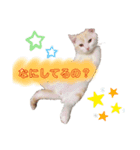 ジジ  Part.1（個別スタンプ：1）