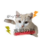 ジジ  Part.1（個別スタンプ：2）