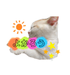 ジジ  Part.1（個別スタンプ：5）