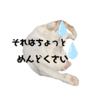ジジ  Part.1（個別スタンプ：6）