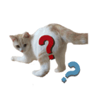 ジジ  Part.1（個別スタンプ：7）
