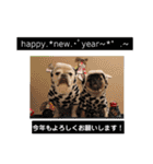 ぽこゴンと仲間たち（個別スタンプ：5）