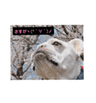 ぽこゴンと仲間たち（個別スタンプ：16）