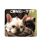 ぽこゴンと仲間たち（個別スタンプ：20）