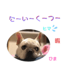 ぽこゴンと仲間たち（個別スタンプ：21）