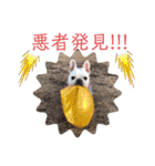 ぽこゴンと仲間たち（個別スタンプ：31）