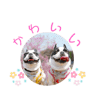 ぽこゴンと仲間たち（個別スタンプ：33）