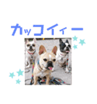 ぽこゴンと仲間たち（個別スタンプ：34）