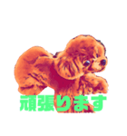 18.Hana（個別スタンプ：1）