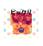 18.Hana（個別スタンプ：2）