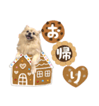 ふわふわポメラニアンのえりちゃん②（個別スタンプ：4）