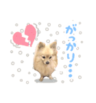 ふわふわポメラニアンのえりちゃん②（個別スタンプ：7）