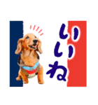 ミニチュアダックスの こりんだよーん（個別スタンプ：3）