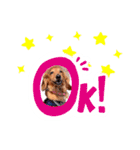 ミニチュアダックスの こりんだよーん（個別スタンプ：4）