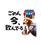 ミニチュアダックスの こりんだよーん（個別スタンプ：9）