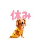 ミニチュアダックスの こりんだよーん（個別スタンプ：14）