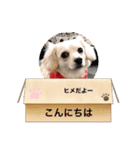 みんなのヒメ（個別スタンプ：1）