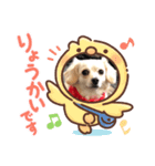 みんなのヒメ（個別スタンプ：2）