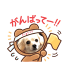 みんなのヒメ（個別スタンプ：3）