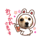 みんなのヒメ（個別スタンプ：5）