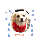 みんなのヒメ（個別スタンプ：8）