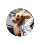まるまるマロン（個別スタンプ：21）